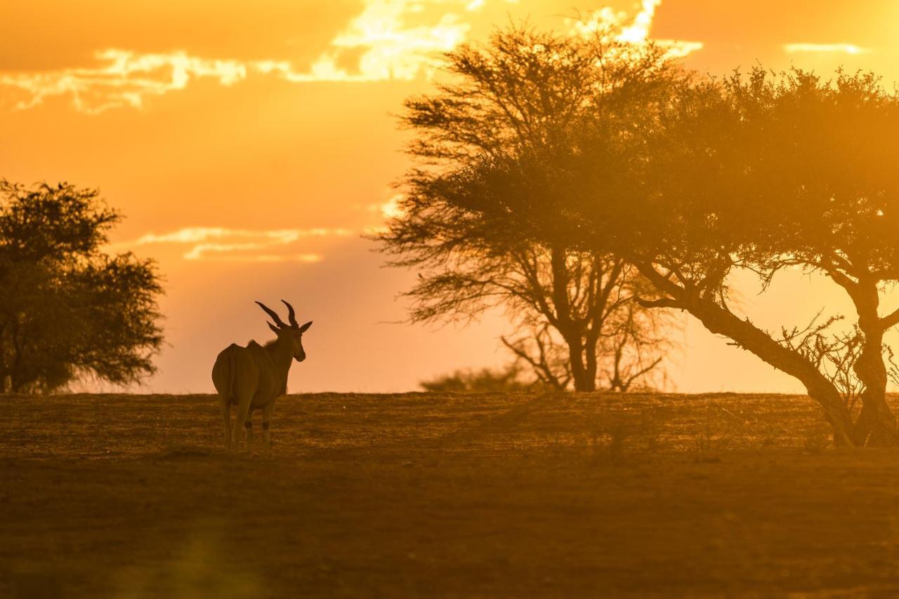 Gondwana Kalahari Anib Lodge Hardap Экстерьер фото